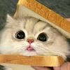 user296044247