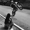 _rako_2008_0