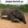 Kahfi