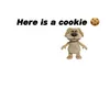 ziyue4life0