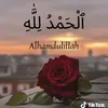 user5263203111583