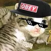alle_boi