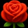 user9228816117296