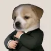 dymanh01aiyeu