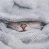 jumitravelcat