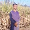 malik.nasar.hayat8