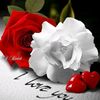 user2621878597186