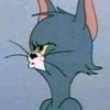 wesam.6684