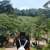 ceweee_ranggaaa