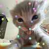 sarina._707