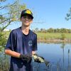 cody_gobills