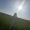 rikistwile8652