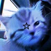user9304489120129