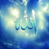 shahab.hamid8