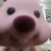 wrixleneyney