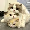 chunxxpi