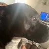 notyourjenny0