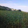 user63116038480536
