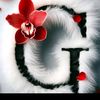 user85451459310796