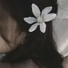 sini_243
