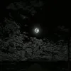 7ama.surchii10