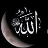 محمد عمار علی