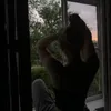 GUS_ь