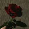 noo_jjii