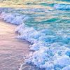 rose.mohamed922