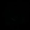mooni_2901
