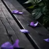 batool9594