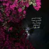 hussein.abbas884