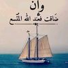 user3619463707632