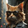 Meow Meow life
