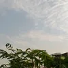 noon..14
