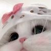 puwony