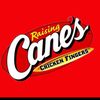 directorofcanes