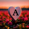 afnanaslam963