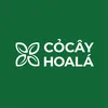 Cỏ Cây Hoa Lá