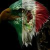 carlos.serna705