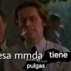 el.amargoso