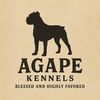 agape_kennels