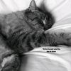 aprill_317