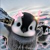 rrataww