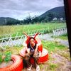 dadas0538