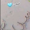 sed77_n