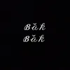 bak_211a