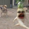 zelllaaaaaeee