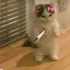 mohamedalhayani0