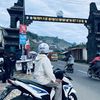 wafiq.id
